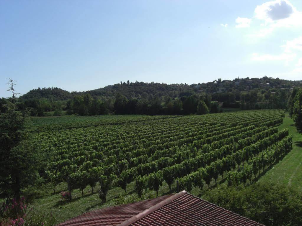 Il Vigneto Affittacamere Manerba del Garda Exterior photo