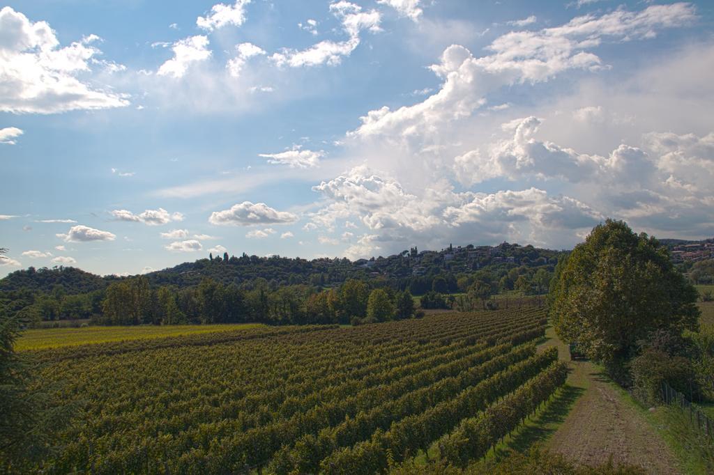 Il Vigneto Affittacamere Manerba del Garda Exterior photo